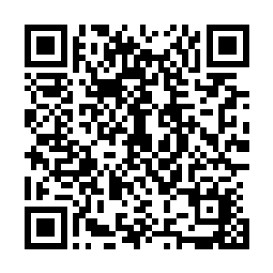 剩下的两名也都是被第四层的首领灌入法力强行提升的修为二维码生成