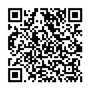剩下的众人没想到使用主宰符箓的伏源如此强大二维码生成