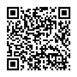 剩下的八十万精壮男女已经全部被整编为第二军团二维码生成