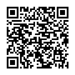 剩下的几人中的任意一人都能轻易的杀死这只蝠妖二维码生成