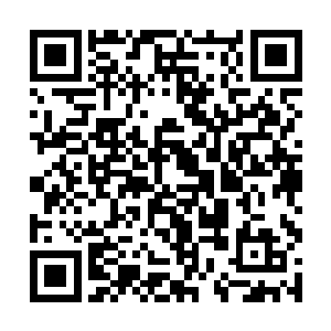 剩下的只要自己每天努力工作还朱晋岩的钱就可以了二维码生成