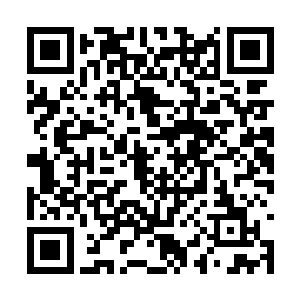 剩下的大量骨兵和被控制的奴隶兵则交给其他势力二维码生成