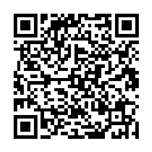 剩下的就是不久前热度还没退散的夜明跨海航运的任务二维码生成