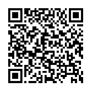 剩下的就是光头男人为首的那一伙砍刀队的人了二维码生成