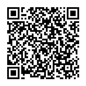 剩下的武庸等凝婴境界的高手每个人的手中也差不多有两三颗的样子二维码生成