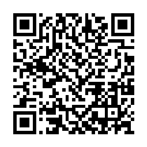 剩下的石头都是为了帮它聚拢地气而堆垒起来的二维码生成