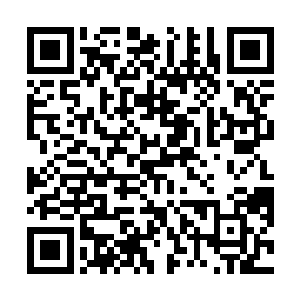 剩下的那个深受重创的虚神也忍不住满脸愤怒的开口道二维码生成