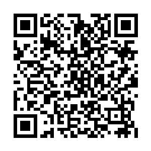 剩下的那些斑鬣狗进攻的动作明显的放缓下来了二维码生成