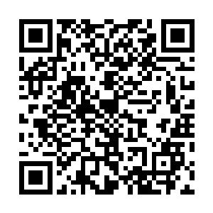 剩下这只烈焰飞豹究竟会拍出什么样的价格没有人说得准二维码生成