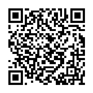 剩余的部分余波黑衣黑发气质冷冽的女子手一扬二维码生成