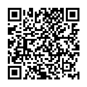 副县长戴立新一听天源集团的人围攻金鑫集团和凯旋集团二维码生成