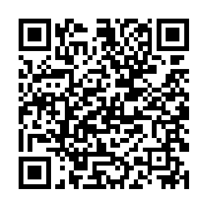 副总统邀请华夏中医秦洛为母治病的新闻便传遍全国二维码生成