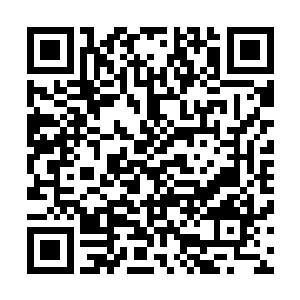 办公室的老师们似乎都感觉到这个新来的龙羽老师的不平凡二维码生成