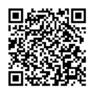 加上一个天真幼稚的女朋友……我真为你们这个团队感到悲哀二维码生成