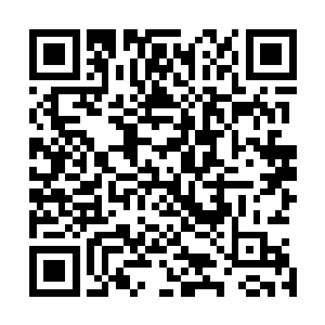 加上你暗中培养的这些人也已经被我这边这位高人尽数杀灭二维码生成
