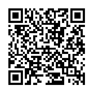 加上初学乍练之下林封对自己的狗斗能力完全没有信心二维码生成