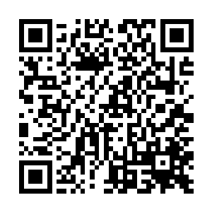 加上前期投入为这些国家军队进行培训和装备的损失二维码生成