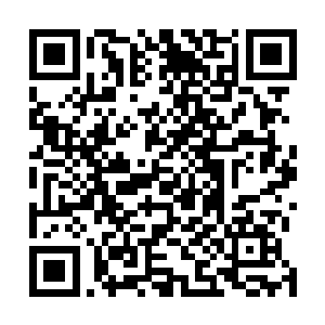 加上感觉萧樱和陆为民之间似乎没有之前猜测的那种关系二维码生成
