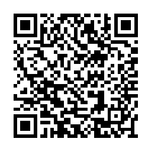 加上有意无意的表露天一道对于弟子的优厚待遇二维码生成