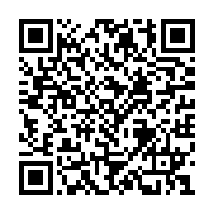 加上这里面的棺材的样子龙傲天也能够想象得到二维码生成