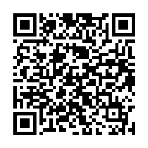 加上里面的造化神树还有水晶棺材的万年玄晶来看二维码生成