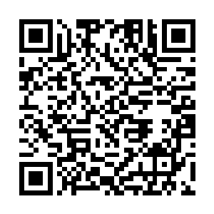 加上龙傲天两个人根本就没有想着要隐藏自己的身形二维码生成