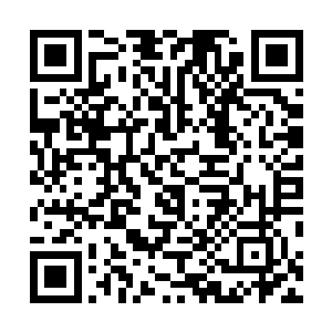 加之当年在流云沙海不听杨庆的劝差点丢了性命长了教训二维码生成