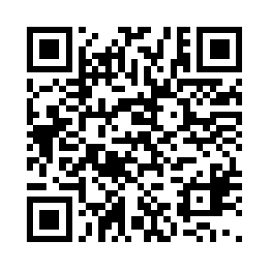 加之有五大护法在里面帮忙分走劫雷二维码生成