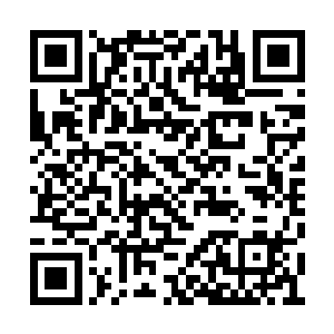 加入的时候年龄必须在一百岁至一百五十岁之间二维码生成