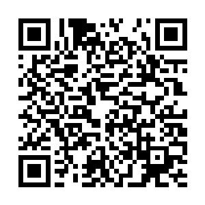 加起来也仅仅只是将赵虎的三百多万库存消化一半二维码生成