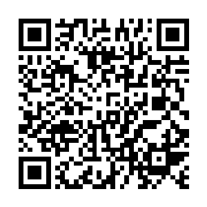 动物总是仰望或者是崇拜比自己强大能够给自己保护的雄二维码生成