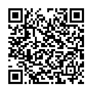 动物的本能真的会驱使他们永远沉沦在xing欲的快感中二维码生成