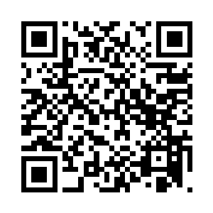 动用了全部手段细细检查了上百遍后二维码生成