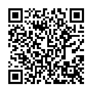 努比斯在靠近佣兵之城千里距离时便再也不敢前进分毫了二维码生成