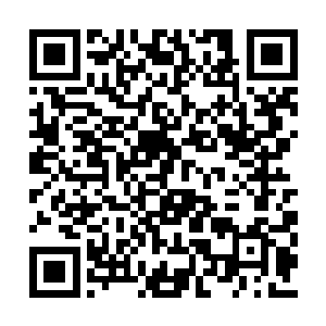 势必要将大部分时间都花费在猎食和消化吸收上二维码生成