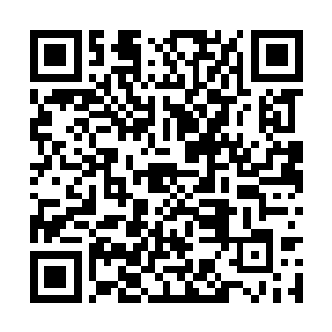 势能立场和剑之领域将全部的怨灵都包裹在了其中二维码生成