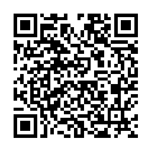 势能立场和剑之领域锁定了这个尸阴宗的大罗金仙强者二维码生成