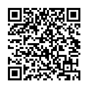 勃拉姆等人的精神力相比起其他骑士来说都只是普通水准二维码生成