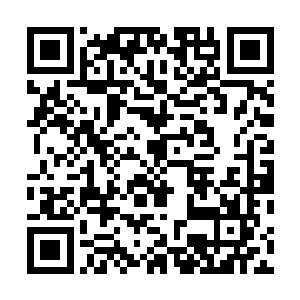 勺了一勺子容锦爱吃的什锦豆腐捞放在容锦跟前的小碟里二维码生成