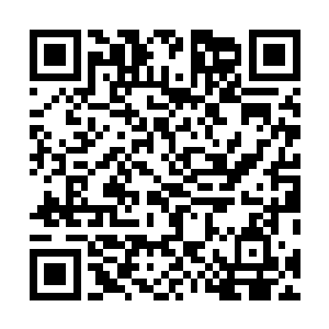 勾结会计师骗走他们的钱财……我越是和切萨雷生活下去二维码生成