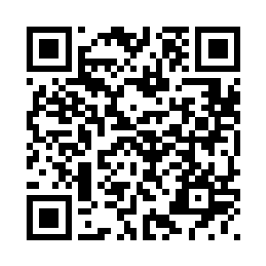 包围了放置到最大的界力之花内部二维码生成