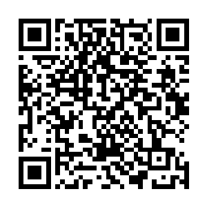 包子侍女闻言想也没想就从腰间香囊里摸出一个十两的银票二维码生成