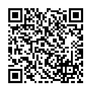 包子小丫鬟画儿不由尴尬又生气的对妖女若男说道二维码生成