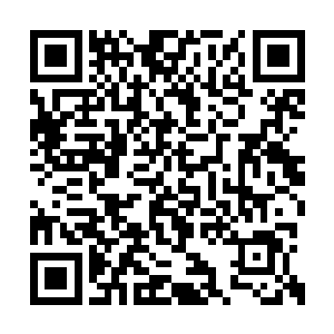 包子小丫鬟画儿捂着小嘴看着自家小姐偷笑不已二维码生成