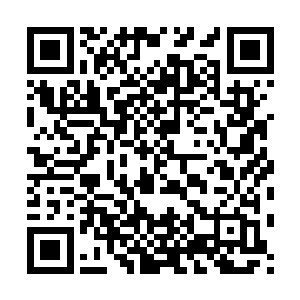 包子小丫鬟肯定不能承认昨晚在书房外听到小姐跟姑爷那个那个二维码生成