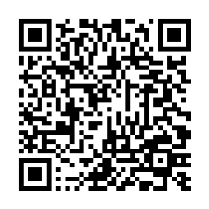 包括今天在沈寒星里她问的那个丫环应该也是知道了的二维码生成