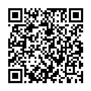 包括前几天刚刚捕捉到的脾气最暴躁的地龙全都跪倒在了地上二维码生成
