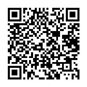 包括宋大成的绝大部分入都觉得陆为民前半段讲得非常的好二维码生成
