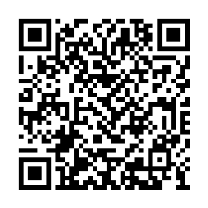 包括带领修士们到达那处据说地下有矿脉的区域二维码生成