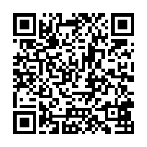 包括我们的所有计划细节也都是根据圣斯汀来制定的二维码生成